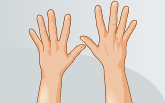 Illustration of human hands